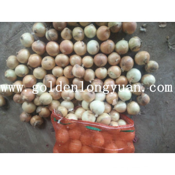 Export Quality Fresh New Crop Yellow Onion